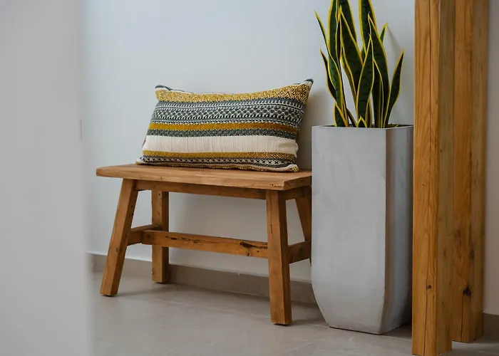 C And G Айя-Анна